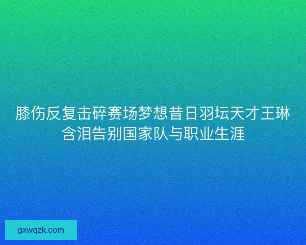 膝伤反复击碎赛场梦想昔日羽坛天才王琳含泪告别国家队与职业生涯