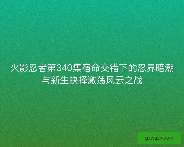 火影忍者第340集宿命交错下的忍界暗潮与新生抉择激荡风云之战